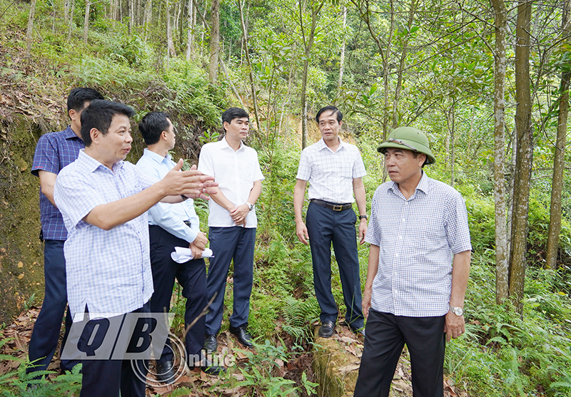 Đồng chí Phó Chủ tịch Thường trực UBND tỉnh Đoàn Ngọc Lâm và đoàn công tác kiển tra điểm sạt lở đồi núi tại thị trấn Quy Đạt.