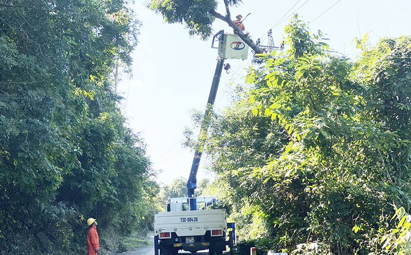 Phát quang hành lang tuyến trước mùa mưa bão.