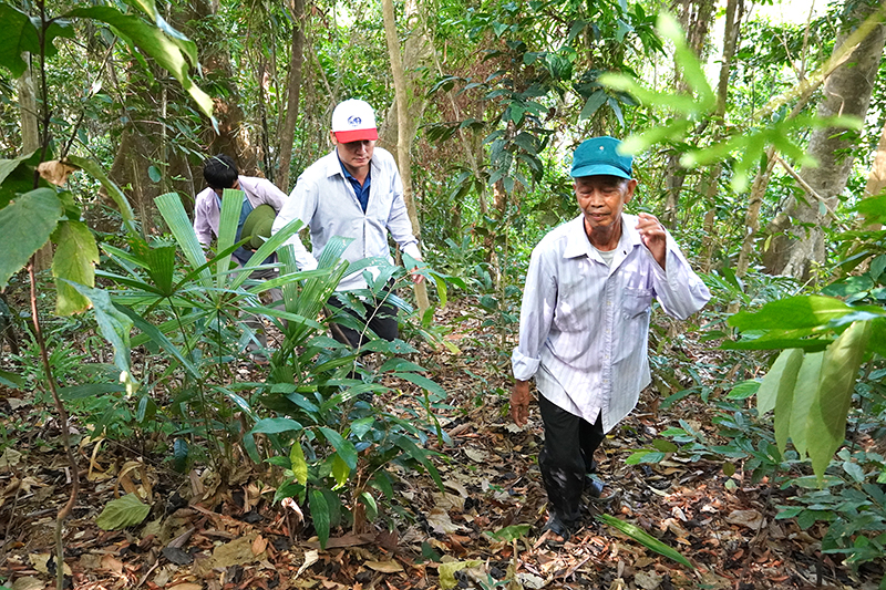 Người dân bản Cổ Tràng (xã Trường Sơn) tuần tra, bảo vệ rừng.