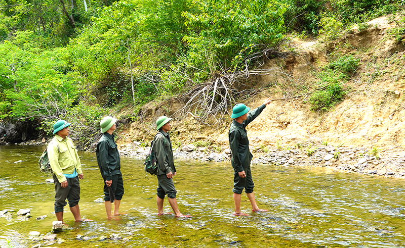 Nhiều người dân tham gia BVR cùng lực lượng Ban Quản lý rừng phòng hộ huyện Quảng Ninh.