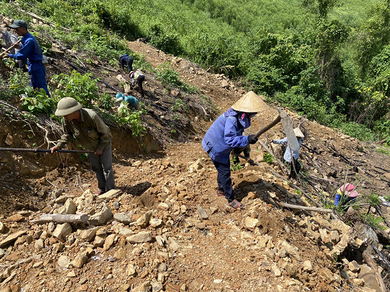 Người dân huyện Quảng Ninh đang trồng rừng.