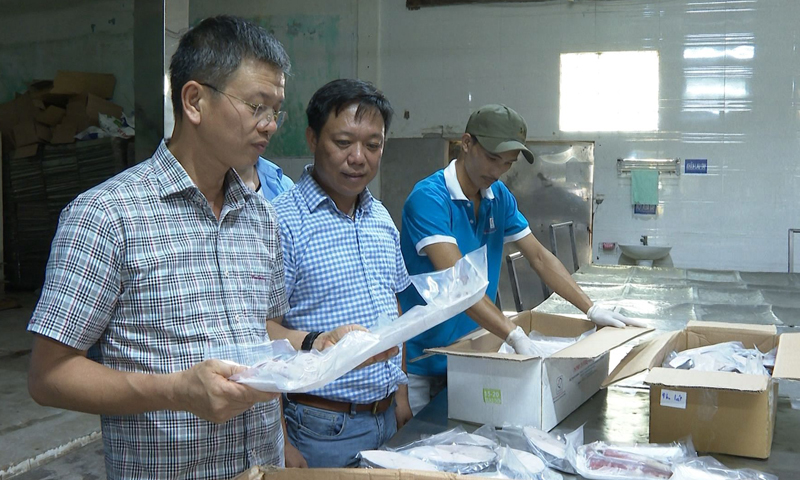 Lãnh đạo Hội Nông dân tỉnh thăm cơ sở thu mua và chế biến hải sản của nông dân Bùi Thức Quang (xã Thanh Trạch, Bố Trạch).