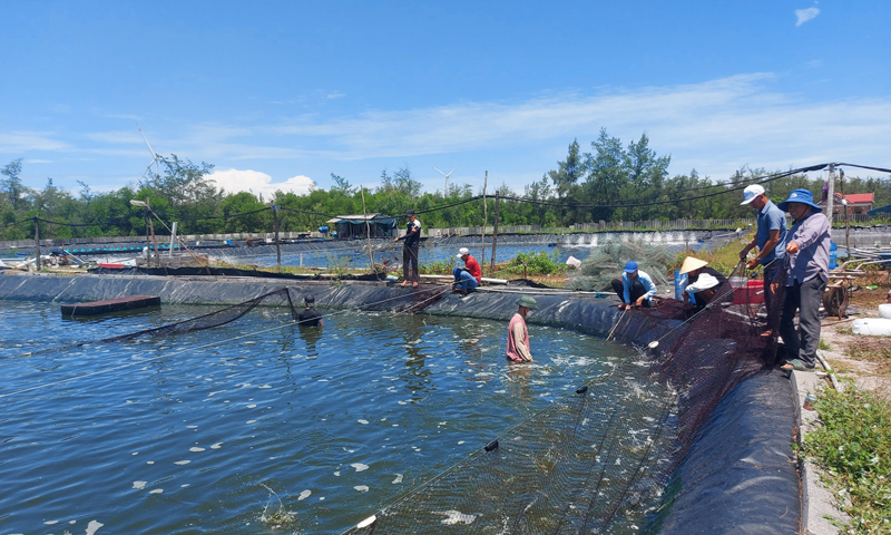 nhiều hộ có quy mô sản xuất lớn với vốn đầu tư hàng chục tỷ đồng, giải quyết việc làm cho hàng chục lao động