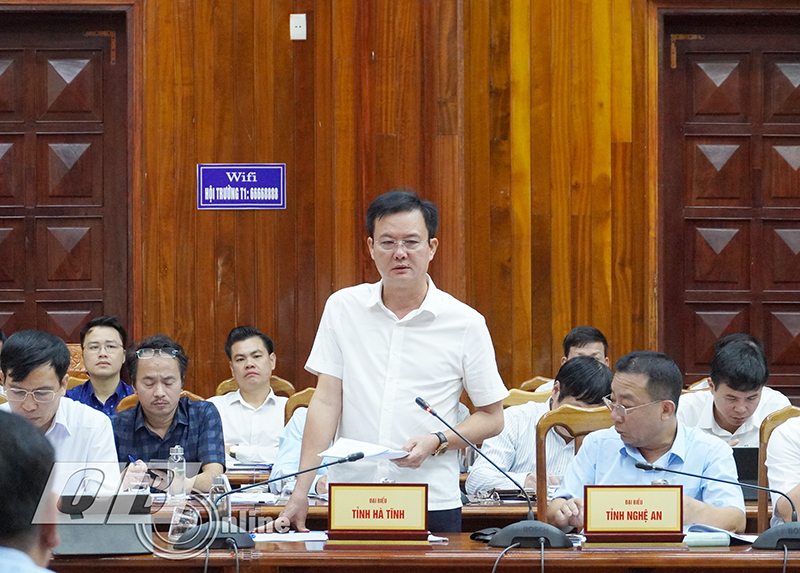 Phó Chủ tịch UBND tỉnh Hà Tĩnh phát biểu tại buổi làm việc.