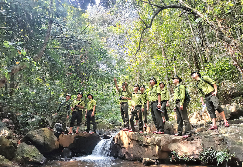 Tuần tra bảo vệ rừng ở Vườn Quốc gia Phong Nha-Kẻ Bàng.