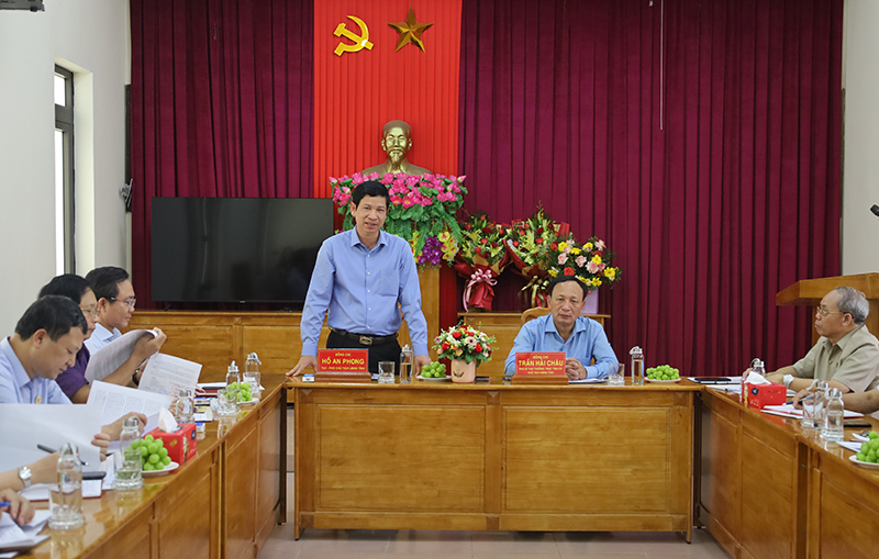   Đồng chí Phó Chủ tịch UBND tỉnh Hồ An Phong Phát biểu tại buổi làm việc.