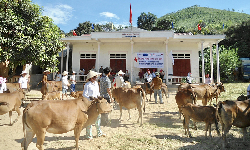 Từ dự án “Ngân hàng bò” đã có hàng nghìn con bò được trao cho các hộ nghèo, hộ hoàn cảnh khó khăn trên địa bàn tỉnh. 