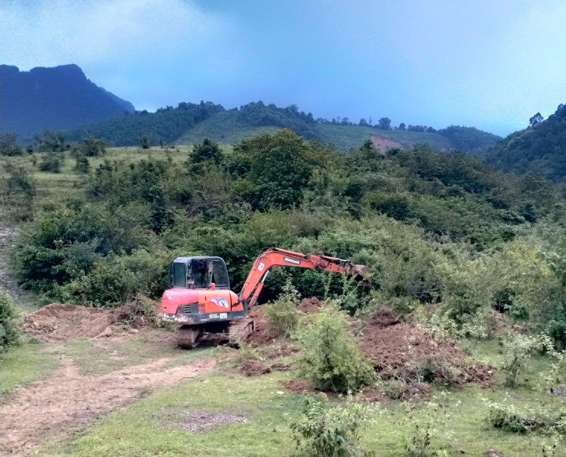 Cơ quan chức năng tiến hành đào hố để tiêu huỷ lợn bị bệnh.