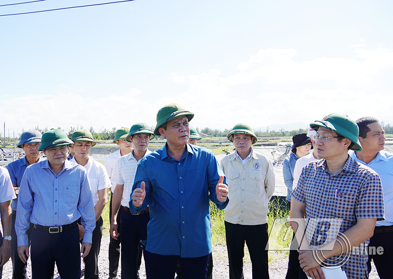 Đồng chí Chủ tịch UBND tỉnh Trần Thắng kiểm tra thực địa vướng mắc trong GPMB tại các trang trạng nuôi trồng thủy sản ở xã Bảo Ninh, TP. Đồng Hới. 