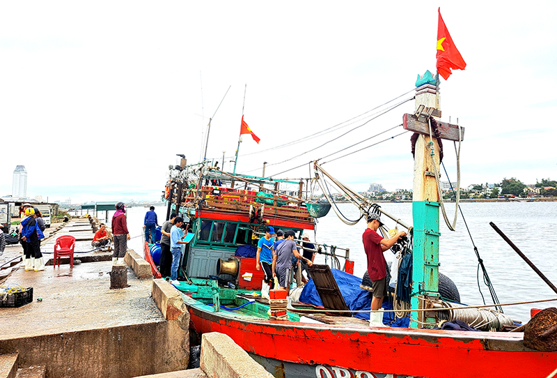 TP. Đồng Hới kiên quyết phòng, chống khai thác IUU.