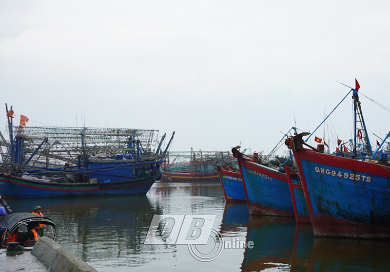 Khu neo đậu tàu thuyền trú tránh bão đủ sức chứa 450 tàu thuyền.