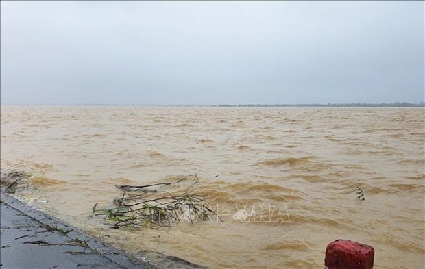 Cánh đồng lúa ở xã Hải Quế, huyện Hải Lăng bị nhấn chìm trong nước do mưa lớn. (Ảnh minh họa: Nguyên Lý/TTXVN)