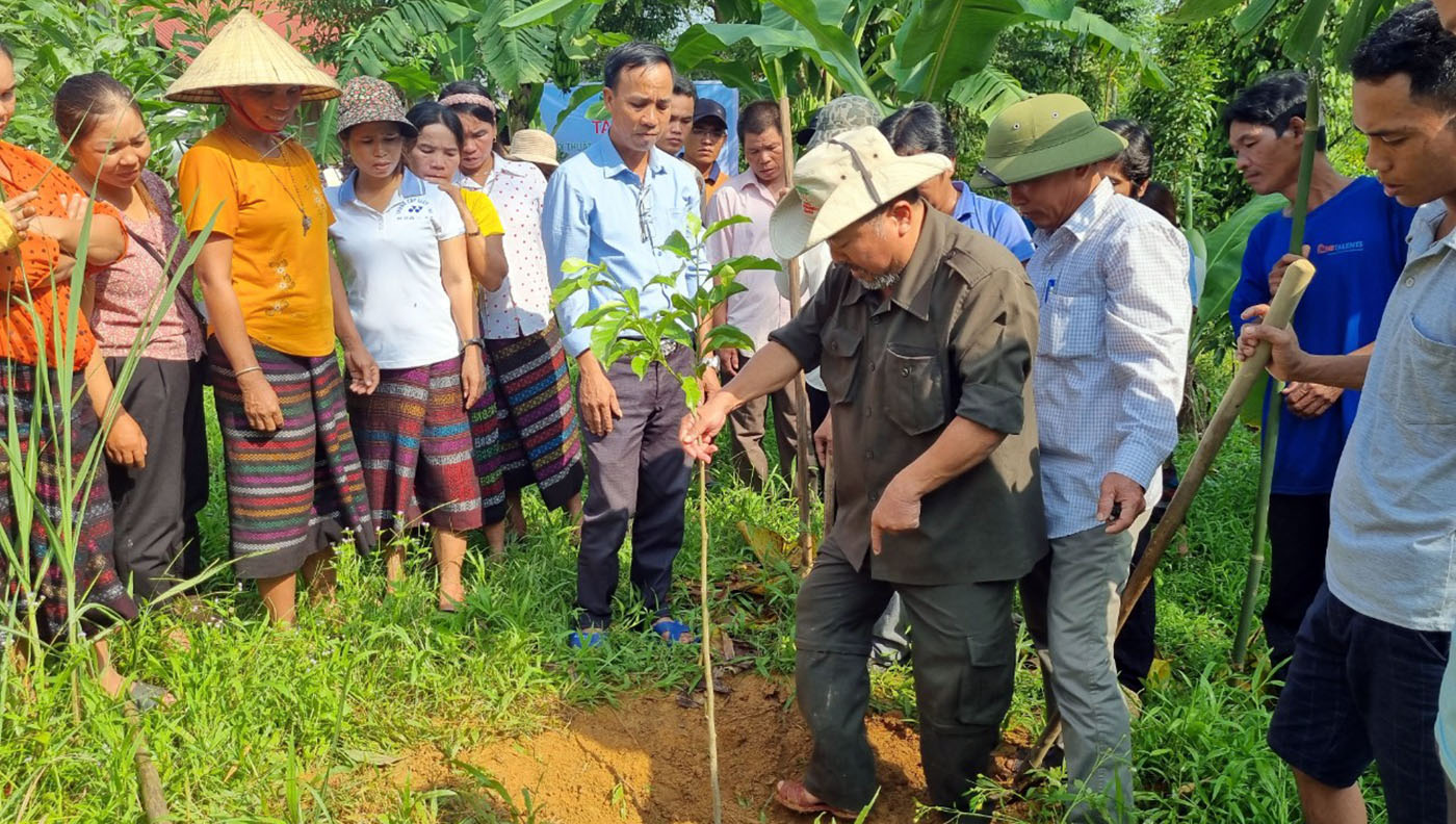 Cán bộ hướng dẫn kỹ thuật trồng cây phân tán cho bà con