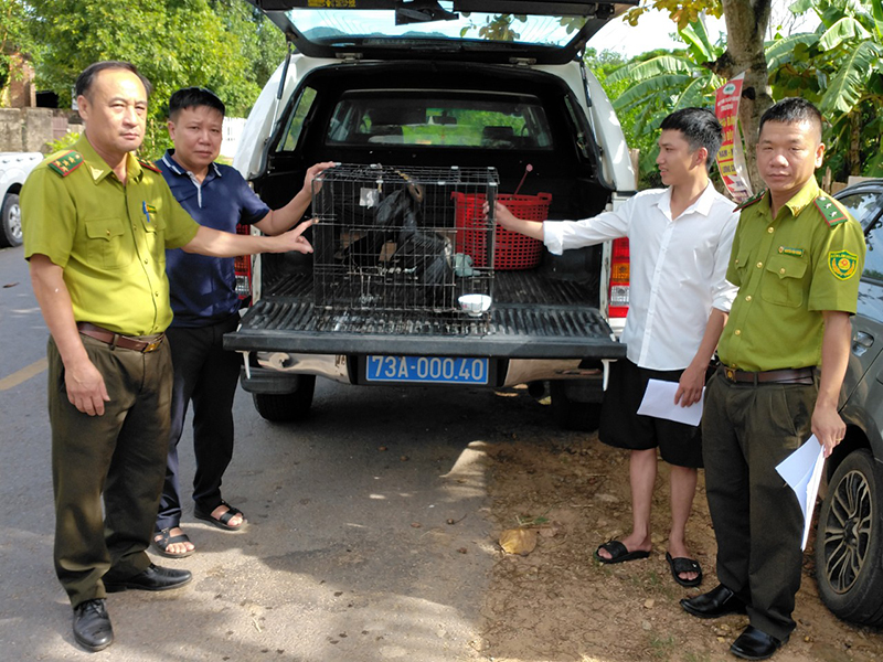 Người dân giao nộp 1 cá thể chim hoang dã quý hiếm cho lực lượng Kiểm lâm.