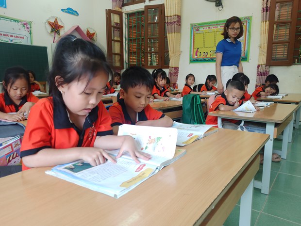 Các nhà trường sẽ được tự chọn sách giáo khoa phù hợp với đối tượng học sinh địa phương. (Ảnh: Phạm Mai/Vietnam+)