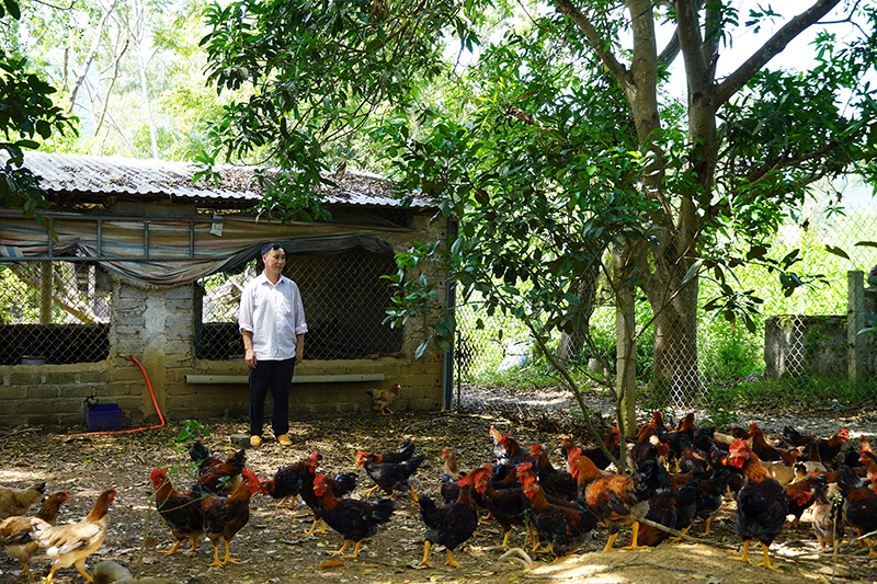 Nhờ nguồn vốn vay ưu đãi, nhiều hộ nông dân đã đầu tư sản xuất, vươn lên thoát nghèo bền vững.