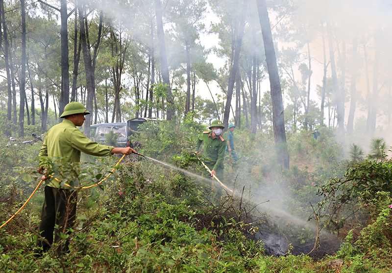 TP. Đồng Hới tăng cường công tác phòng cháy, chữa cháy rừng.