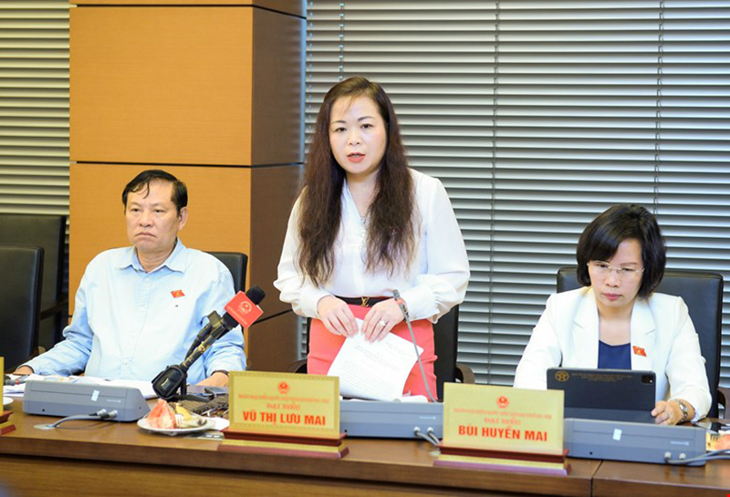 Đại biểu Vũ Thị Lưu Mai, Phó Chủ nhiệm Ủy ban Tài chính, ngân sách, Đoàn Đại biểu Quốc hội thành phố Hà Nội.