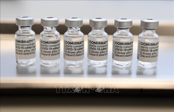 Vaccine phòng COVID-19 của Pfizer-BioNTech. Ảnh minh họa: AFP/TTXVN