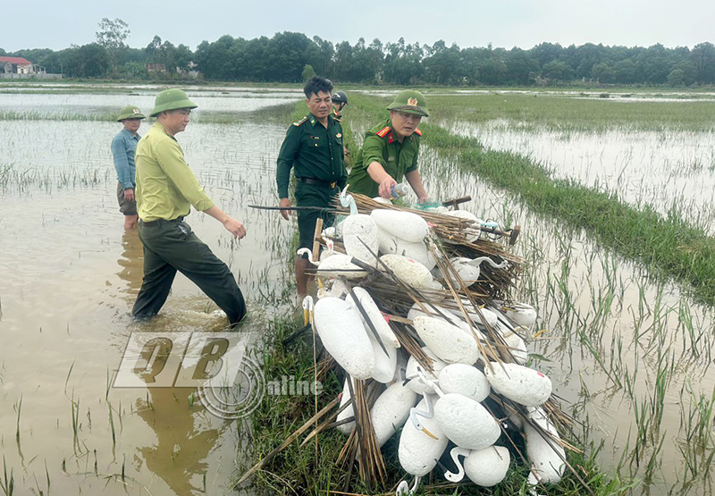 Cán bộ Hội Nông dân xã Thanh Trạch (Bố Trạch) tham gia cùng các lực lượng chức năng thu giữ và tiêu hủy chim mồi giả.