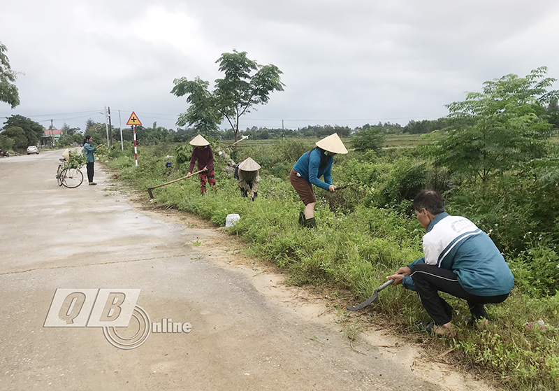 Hội Nông dân xã Trung Trạch (Bố Trạch) diệt cây mai dương và vệ sinh đồng ruộng.