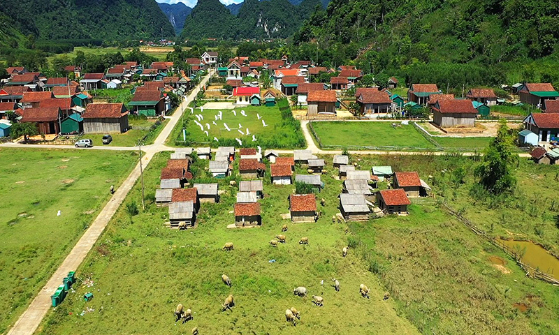 Khu chăn nuôi gia súc tập trung ở thôn 3 Yên Thọ, xã Tân Hóa (Minh Hóa).