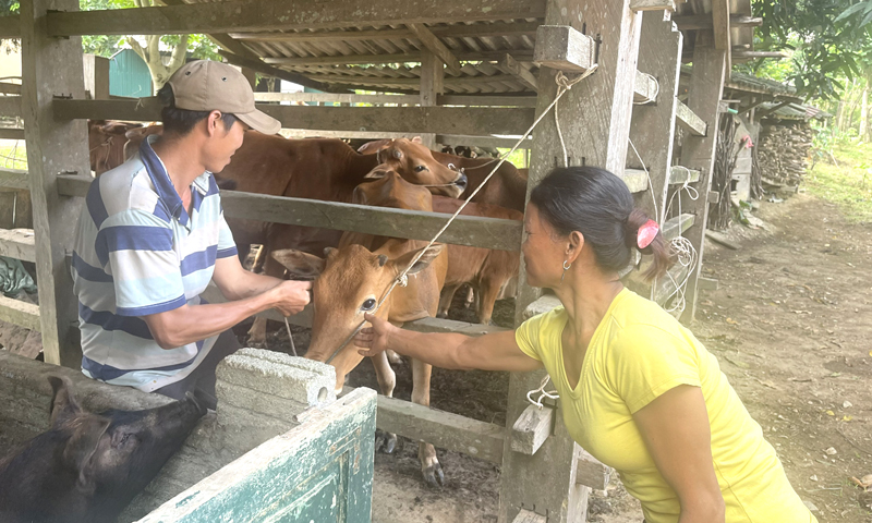 Khi người Rục viết đơn xin ra khỏi hộ nghèo