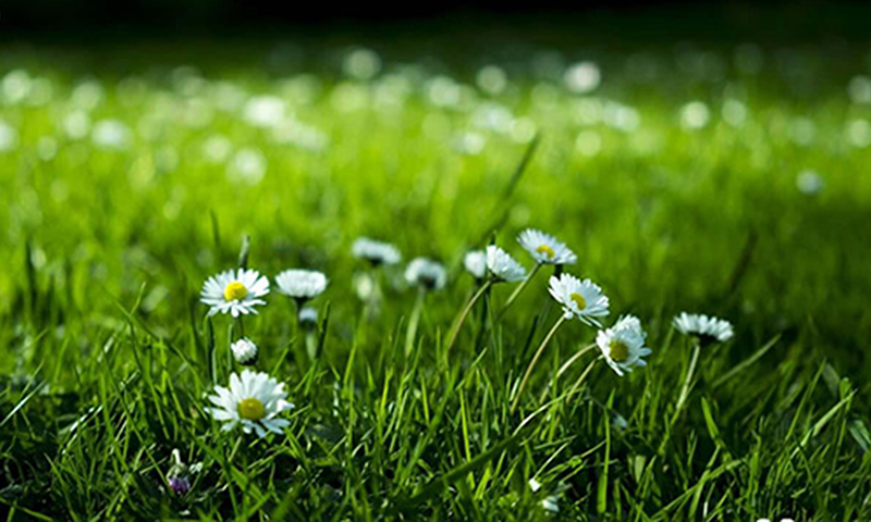 Có một ngày như thế