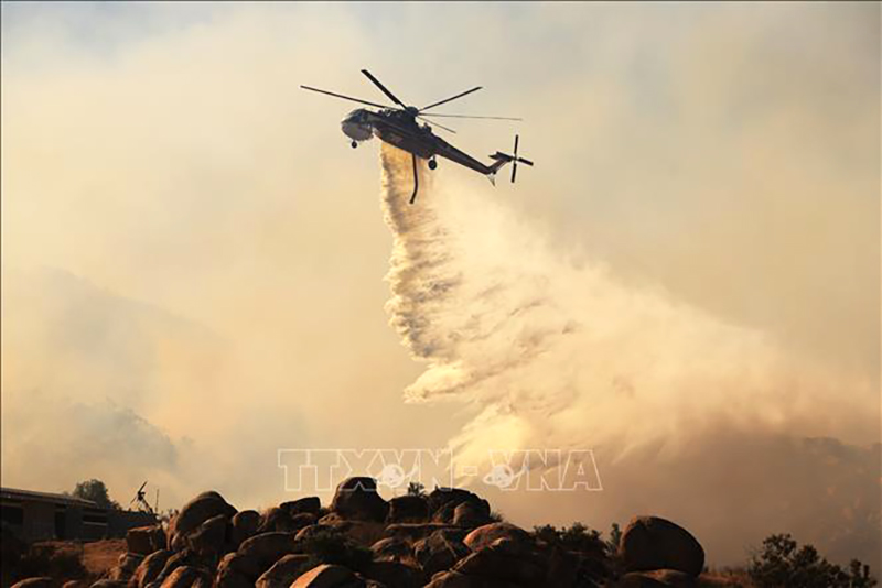 Cháy rừng nghiêm trọng đe dọa hàng trăm loài động vật hoang dã ở California