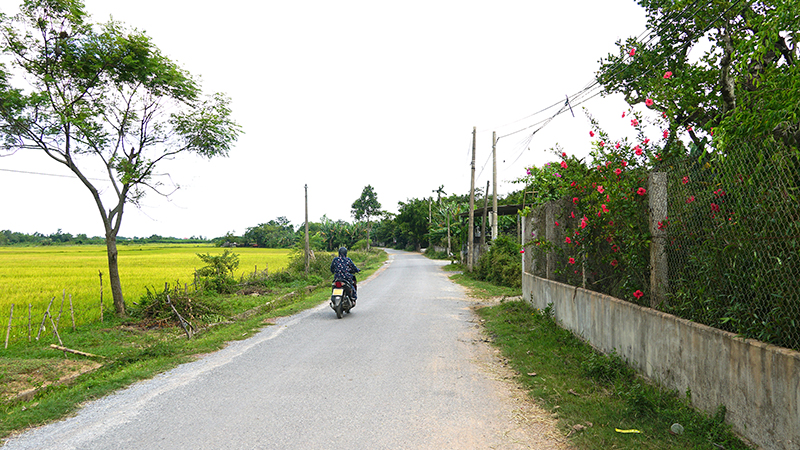 Một tuyến đường liên xã ở huyện Quảng Trạch.