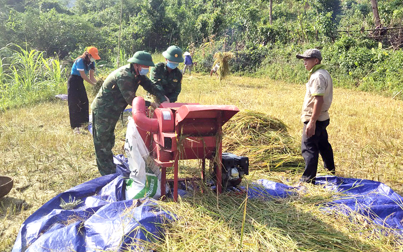 Đồn Biên phòng Làng Mô thực hiện mô hình dân vận khéo “Tiếng máy vùng biên” giúp dân thu hoạch lúa.