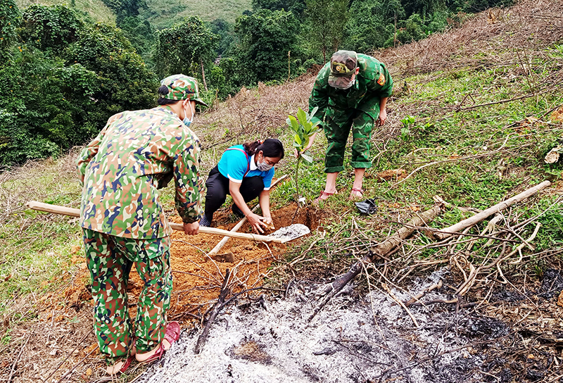 Bộ đội Biên phòng giúp đồng bào dân tộc thiểu số huyện Minh Hóa trồng rừng.