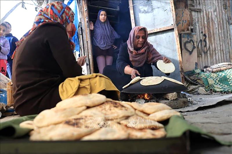 Người dân nướng bánh ở khu lều tạm ở Rafah, phía Nam Dải Gaza ngày 25/11, sau khi có lệnh ngừng bắn. (Ảnh: AFP/TTXVN)