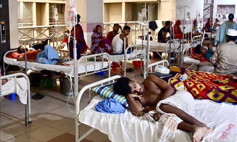 WHO cảnh báo mối đe dọa của bệnh sốt xuất huyết