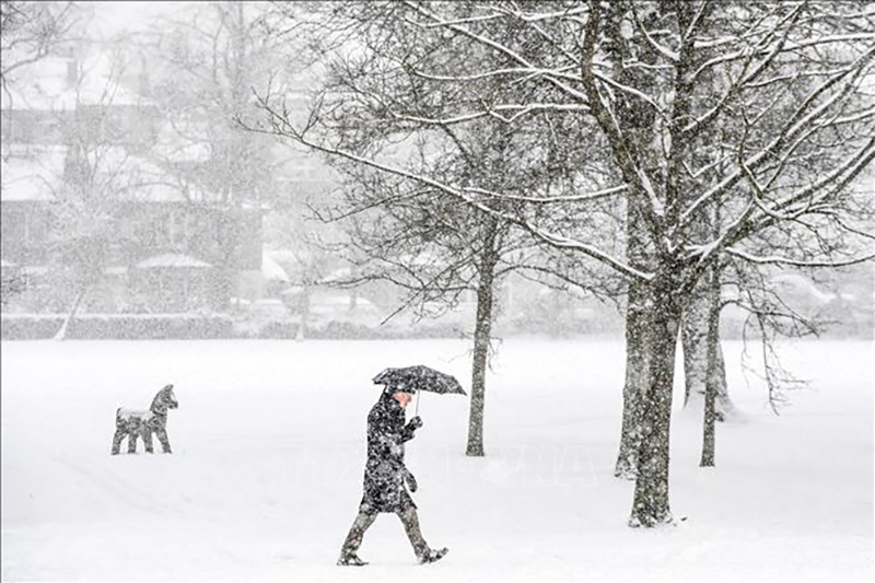 Tuyết rơi dày đặc tại Auchterarder, Anh. Ảnh tư liệu: AFP/TTXVN