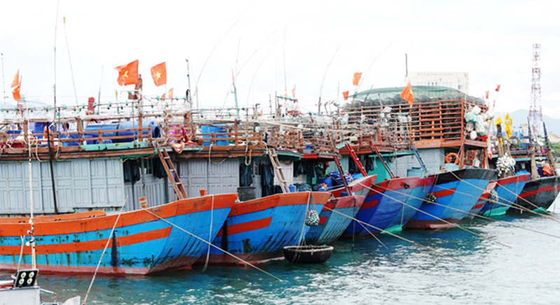 Quảng Bình đã đạt nhiều kết quả tích cực trong công tác chống khai thác IUU thời gian qua.