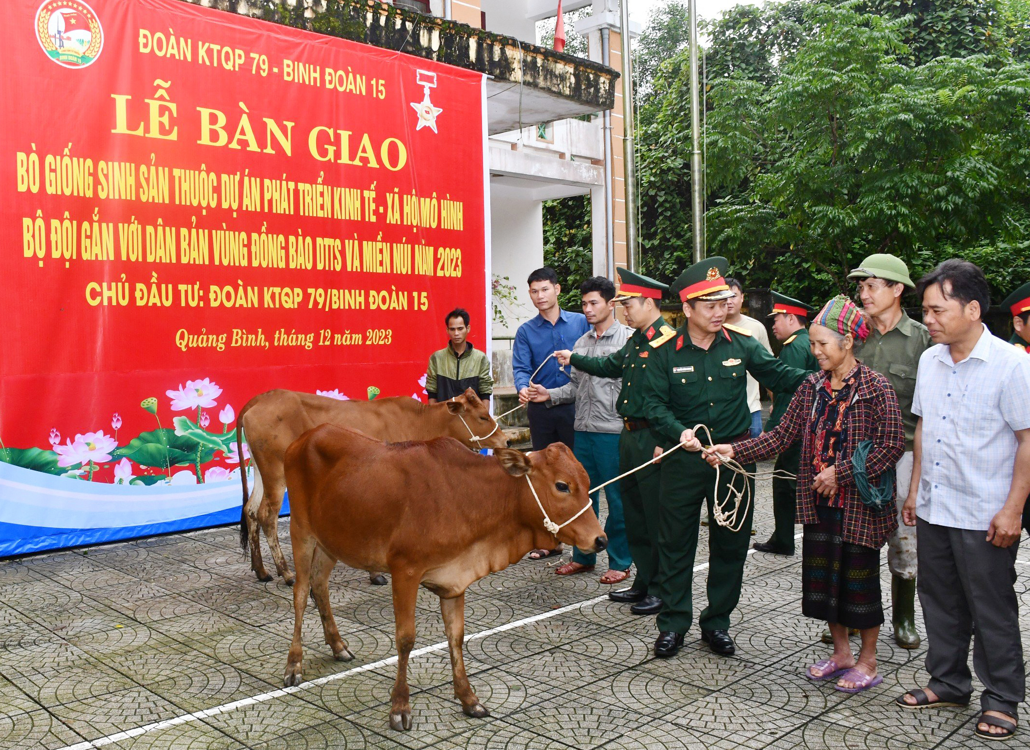 Đoàn KT-QP 79 bàn giao bò giống cho hộ nghèo tại xã Lâm Thủy.