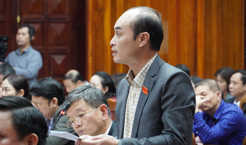 Đại biểu Trần Sơn Tùng chất vấn tại kỳ họp 12, HĐND tỉnh khoa XVIII.