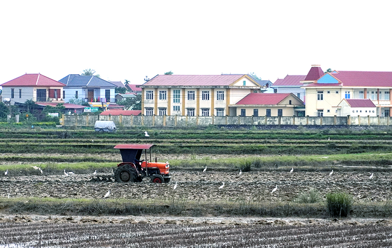 Nông dân huyện Lệ Thủy làm đất chuẩn bị sản xuất vụ đông-xuân.
