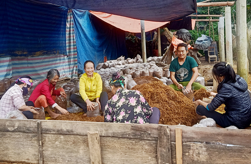 Mô hình trồng nấm của anh Đỗ Quang Trung, ở thôn Bắc Giang, xã Hưng Trạch đang tạo việc làm cho nhiều lao động.