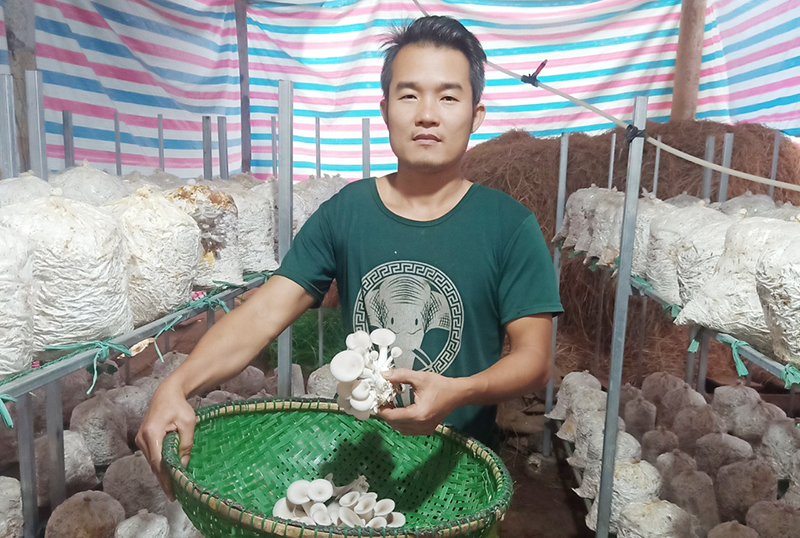 Anh Đỗ Quang Trung đang thu học nấm.