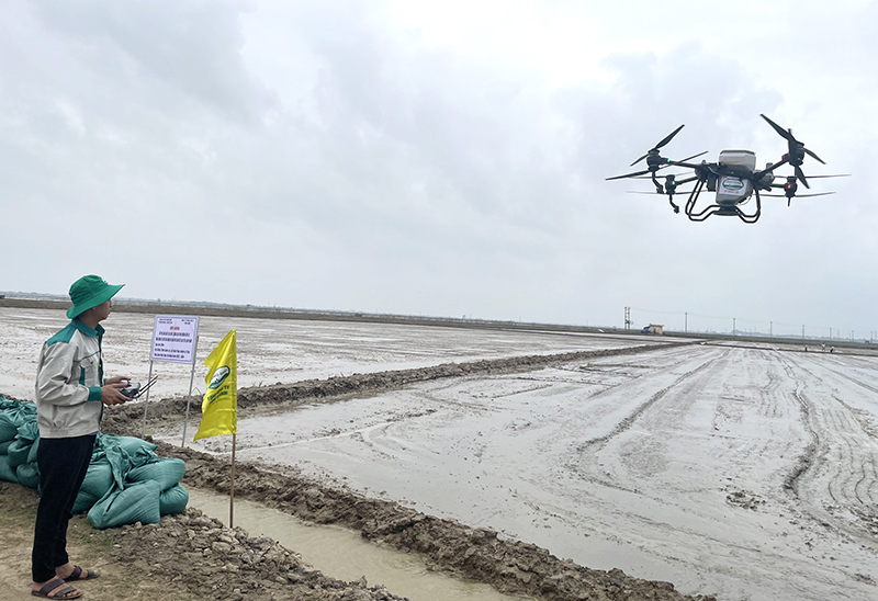 Gieo sạ bằng thiết bị bay không người lái ở huyện Lệ Thủy.