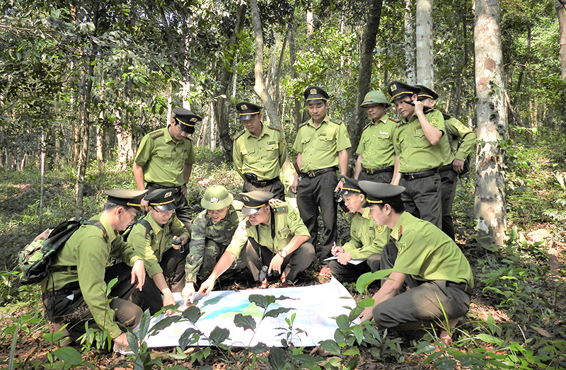 Công tác quản lý, bảo vệ rừng được xác định là nhiệm vụ trọng tâm hàng đầu của Vườn Quốc gia Phong Nha-Kẻ Bàng.