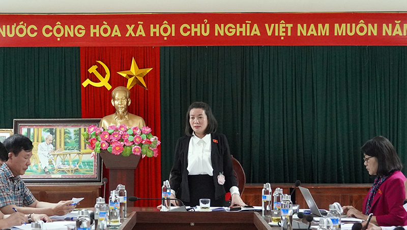 Đại biểu Nguyễn Minh Tâm phát biểu tại buổi giám sát