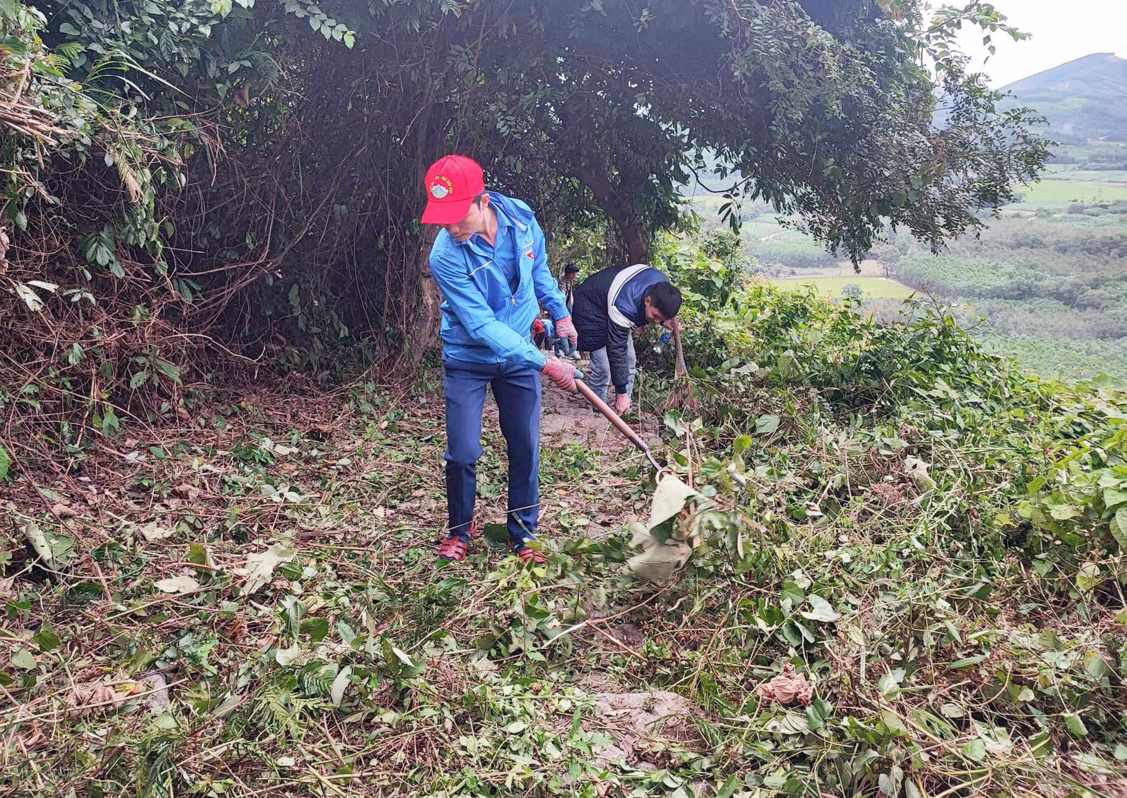 Phát quang bụi rậm