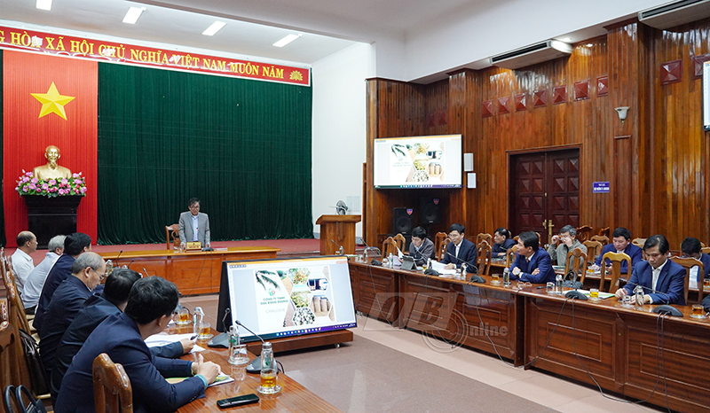 Đồng chí Phó Chủ tịch Thường trực UBND tỉnh Đoàn Ngọc Lâm phát biểu tại cuộc làm việc.