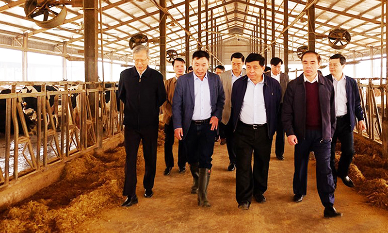 Ông Lương Duy Toản (đi ủng, hàng trước) hướng dẫn lãnh đạo Bộ Kế hoạch và Đầu tư tham quan trang trại, tháng 3/2020.