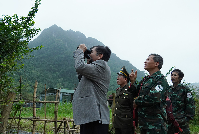 Đồng chí Phó Chủ tịch Thường trực UBND tỉnh Đoàn Ngọc Lâm quan sát đàn Voọc gáy trắng ở xã Thạch Hoá (Tuyên Hoá).