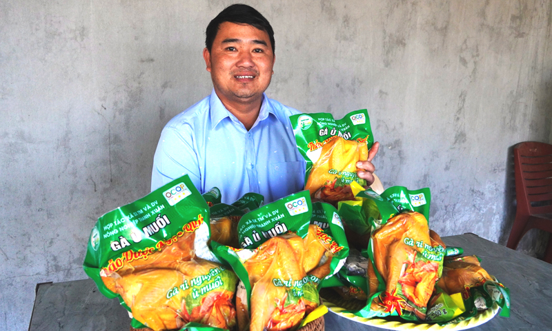 Gà ủ muối thảo dược của HTX Thanh Xuân được nhiều người tiêu dụng lựa chọn.