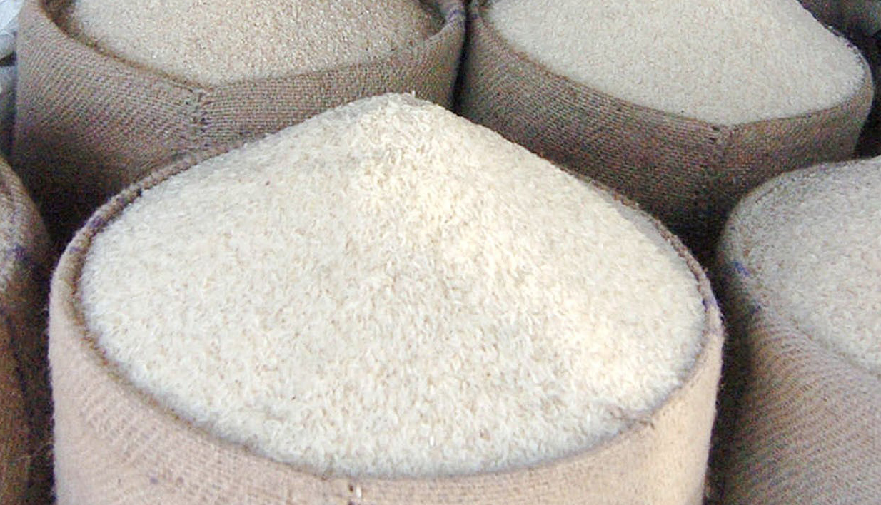 Hàn Quốc phát triển gạo bổ sung đạm từ thịt nuôi cấy